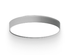 Потолочные